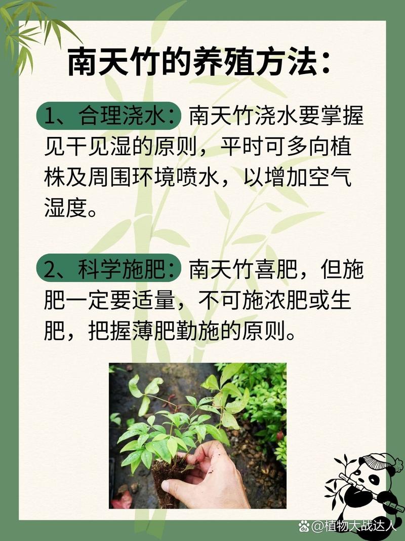 绿植养护浇水?见干见湿是原则!