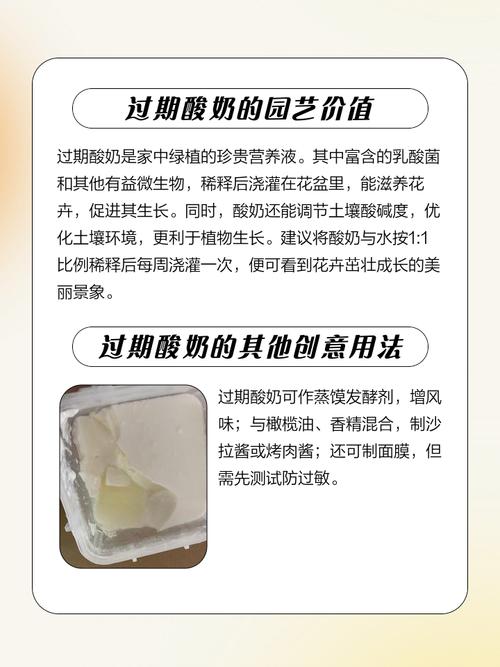过期酸奶妙用?敷脸或擦皮沙发!