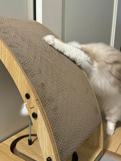 皮质沙发防猫抓板！剑麻绳缠绕防护工艺