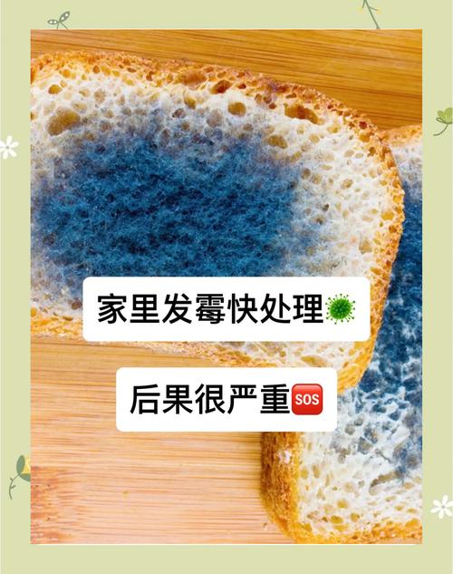 家居防潮小技巧,告别潮湿发霉