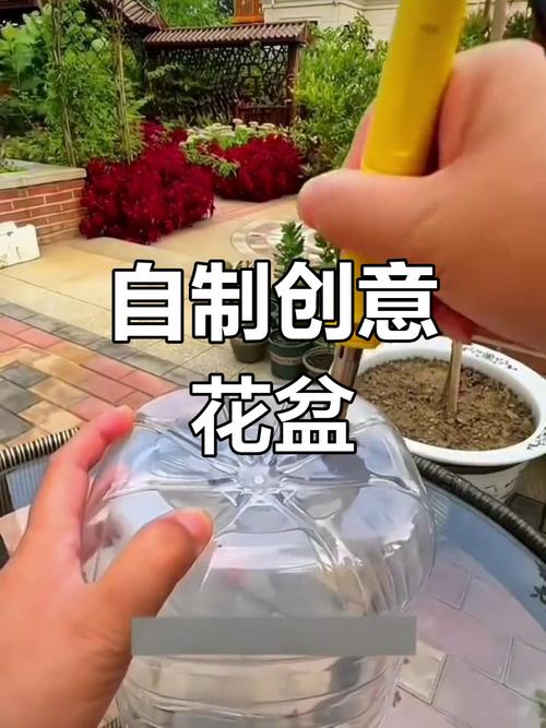 塑料瓶变花盆?底部「烫 3 排孔」防烂根