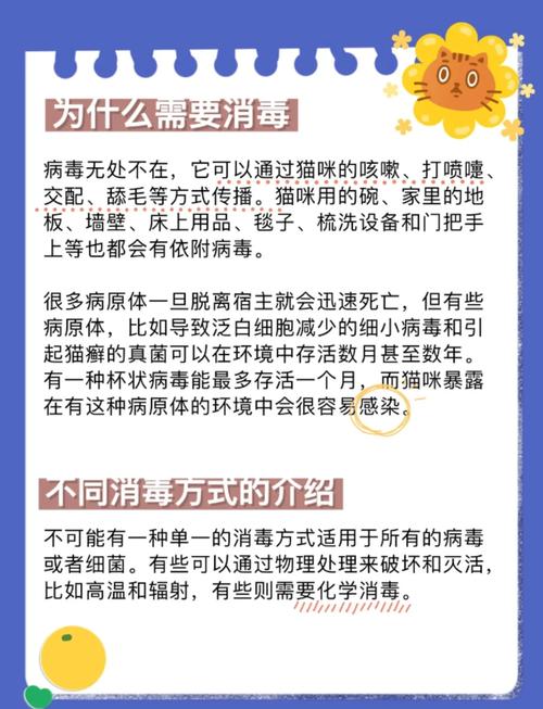 如何正确进行家庭消毒?微生物学指南