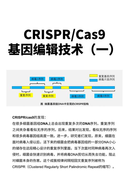 基因编辑技术如何应用于农业育种?生物技术进展