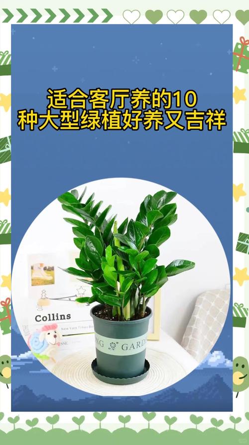 绿植养护:让客厅更有生机的大型植物推荐