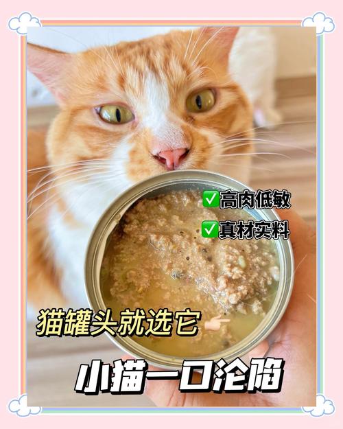 猫咪泌尿问题?增加「罐头喂食」