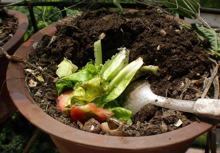 果皮菜叶堆肥?环保肥料自制造!